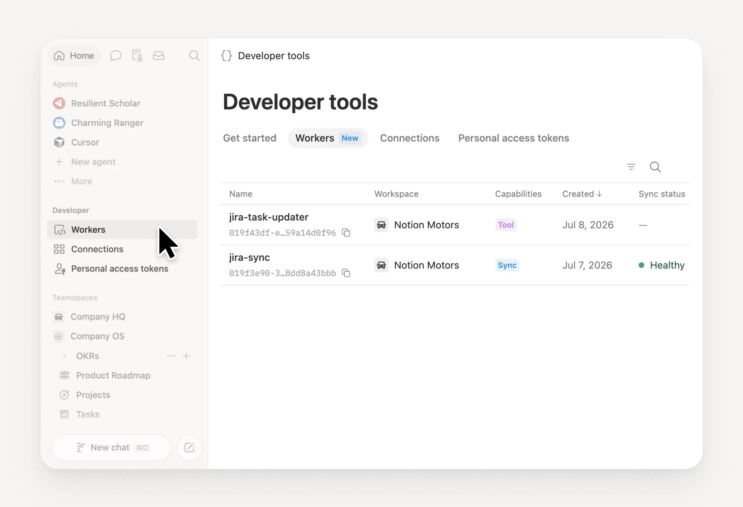 Developer sidebar section