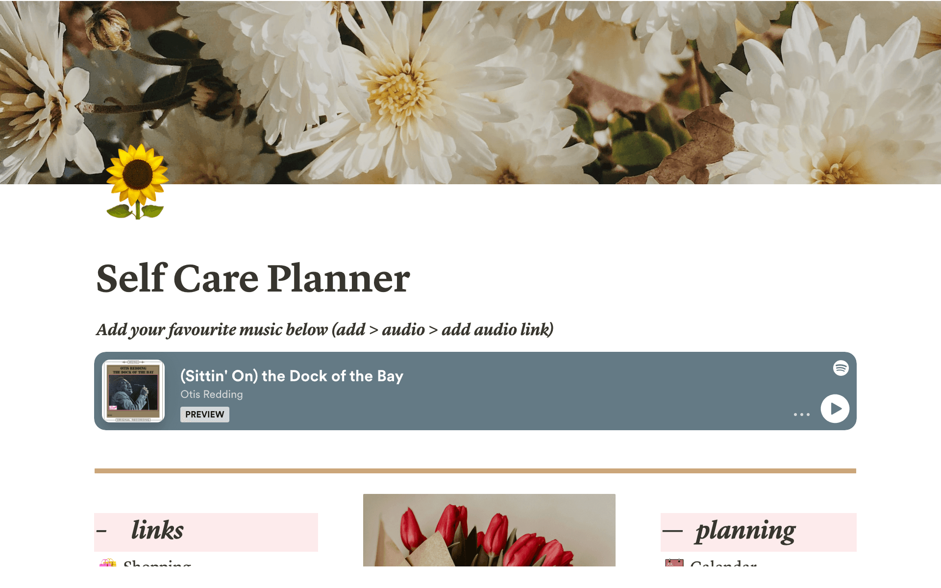 Self care planner