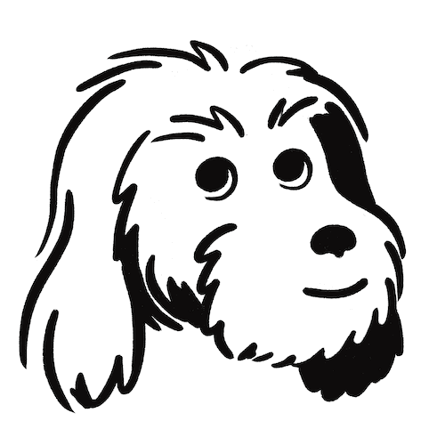 Lyka Pup