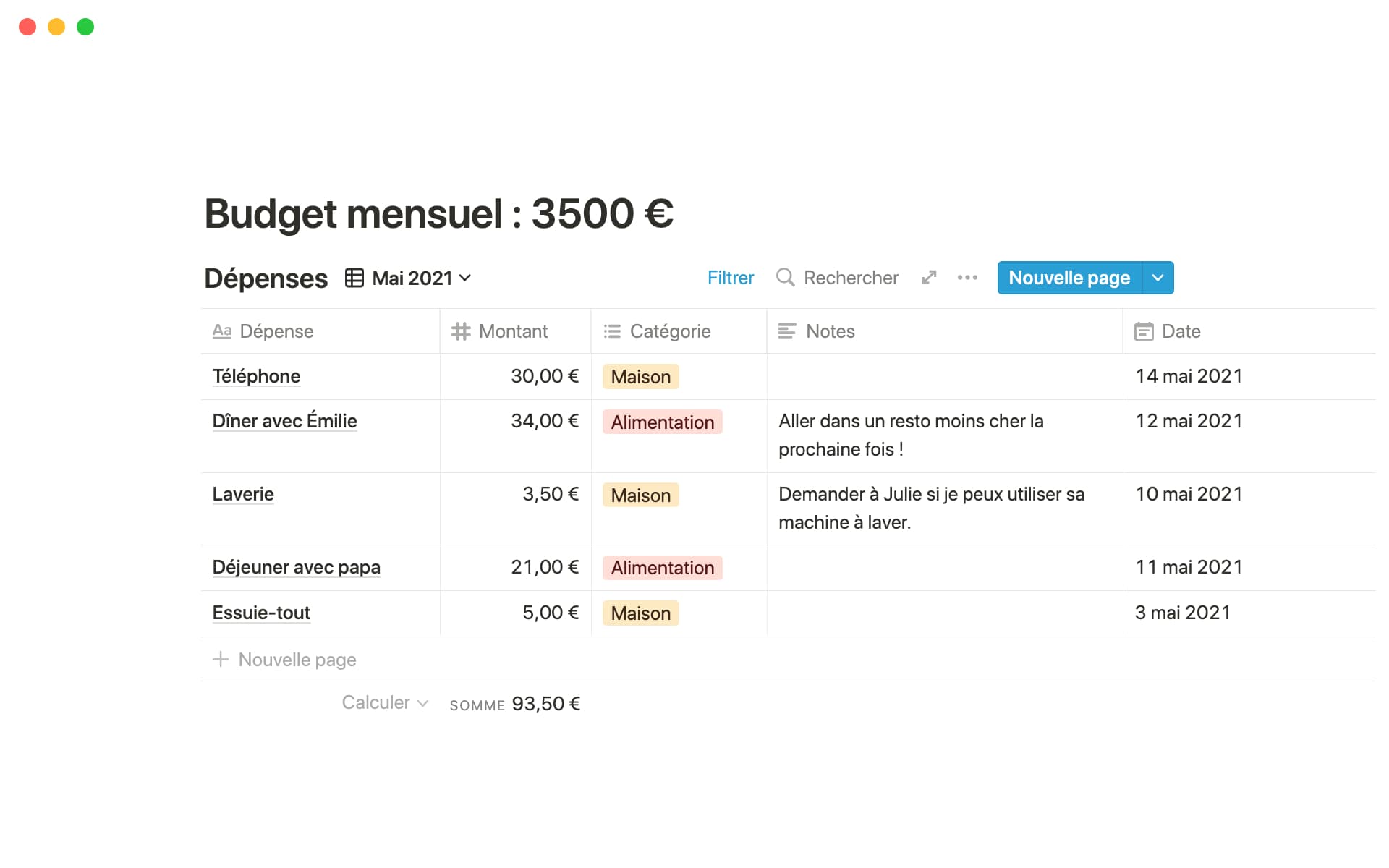 A screenshot of a budget planning document in Notion.