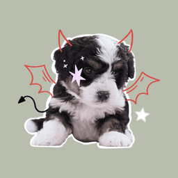 A profile image of itspeach