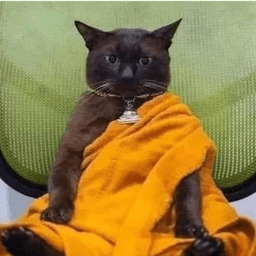 A profile image of algorithmic