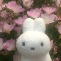 A profile image of dooboo