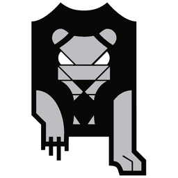 A profile image of Lions Racing Team e.V.