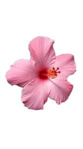 A profile image of Michelle