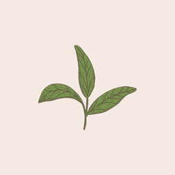 A profile image of KaiD