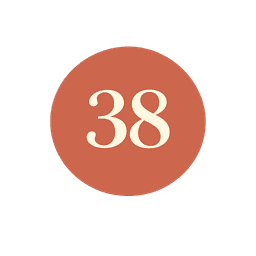 A profile image of The 38 Project