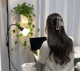 A profile image of ruru