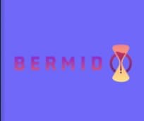 A profile image of Bermid