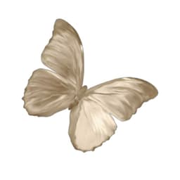 A profile image of eve