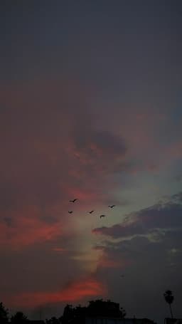 A profile image of Harry