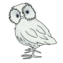 A profile image of Shantell Nichol Designs