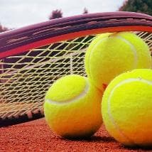 A profile image of Mateo