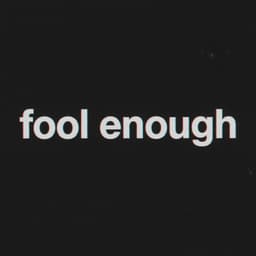 A profile image of Fool Enough LLC
