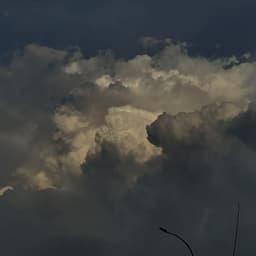 A profile image of World of Undefined Brain