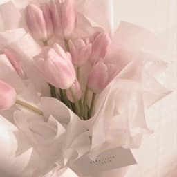 A profile image of Kalina Skoczylas