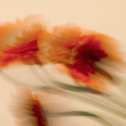 A profile image of Livs