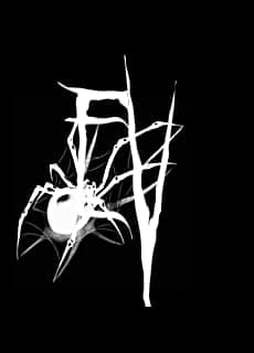 A profile image of EVVE