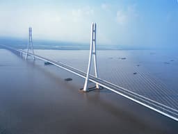 A profile image of Scientific Aesthetics