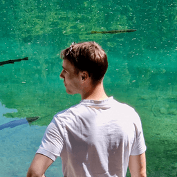 A profile image of Lucas Systems