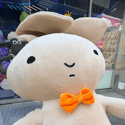 A profile image of 앤지유