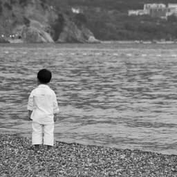 A profile image of Angsar || Singularity