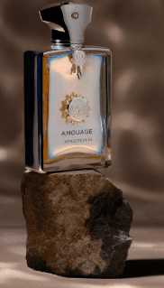 A profile image of Fragrance