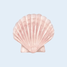 A profile image of natalie 🐚