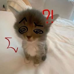 A profile image of ˗ˏˋ ERROR! ˎˊ˗