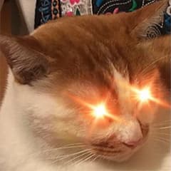 A profile image of Pipi