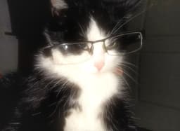 A profile image of @Blu3b3rry.xx