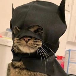 A profile image of Logan