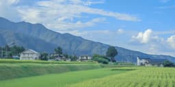 A profile image of 진진자라