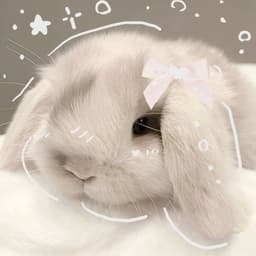 A profile image of lavieparis