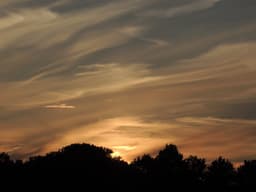 A profile image of lost_in_a_filmscene