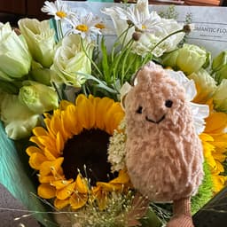 A profile image of 月影雨声