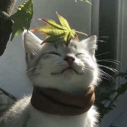 A profile image of Riley