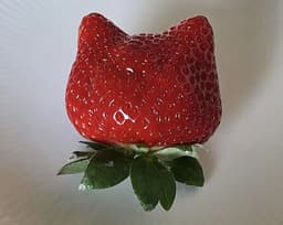 A profile image of Amina Aura