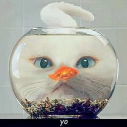 A profile image of Wynne