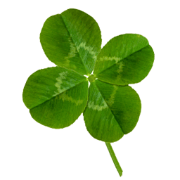 A profile image of Moni