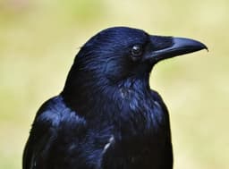 A profile image of Em