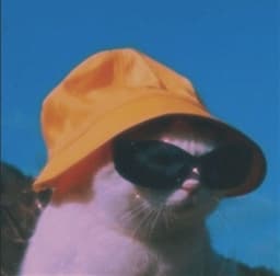 A profile image of 포효하는쮝