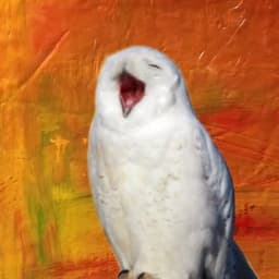 A profile image of 레니