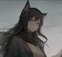 A profile image of Jan W