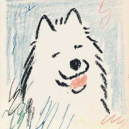 A profile image of Canyon