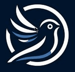 A profile image of KuroraTales