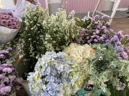 A profile image of claireinette