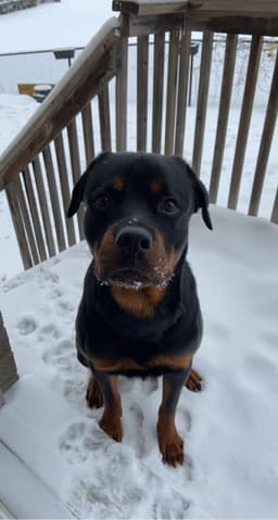 A profile image of brianna