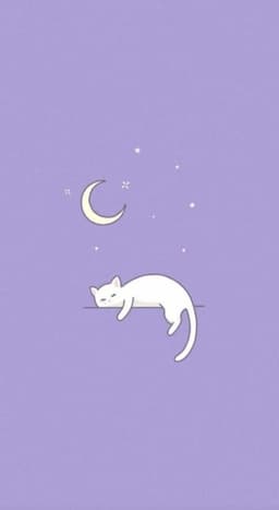 A profile image of Miso