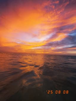 A profile image of Ava D'Onofrio